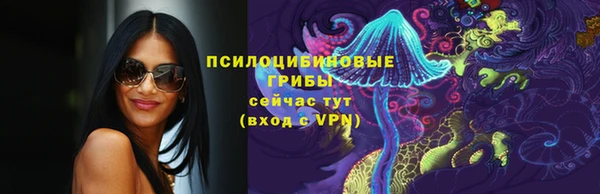 ALPHA PVP Гусев