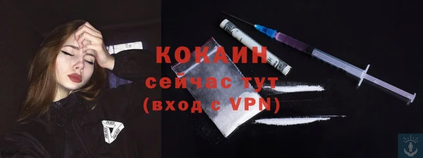 ALPHA PVP Гусев