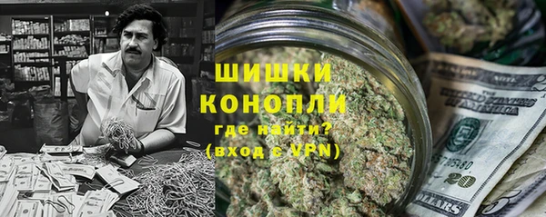 ALPHA PVP Гусев