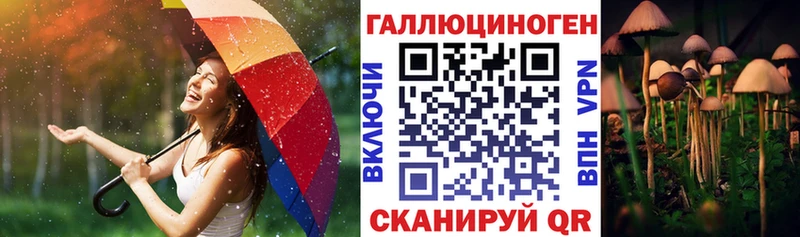 Псилоцибиновые грибы GOLDEN TEACHER Изобильный