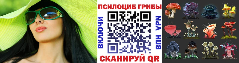 Псилоцибиновые грибы Psilocybe  Купить где  Изобильный 